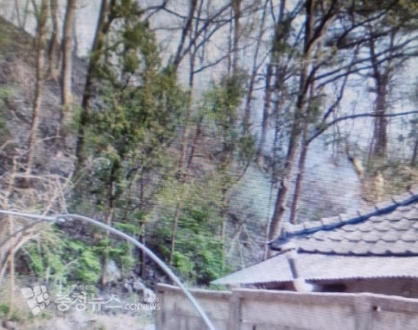 강원 홍천 산불 현장 (사진 = 산림청 제공)