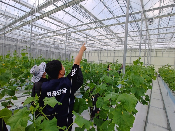 스마트팜 내 실습 중인 사진