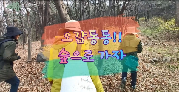 오감통통!! 숲으로 가자(최우수상) 영상캡처