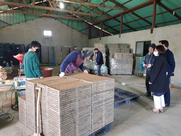 서천군, 벼 키다리병 예방, 볍씨 소독 철저 당부