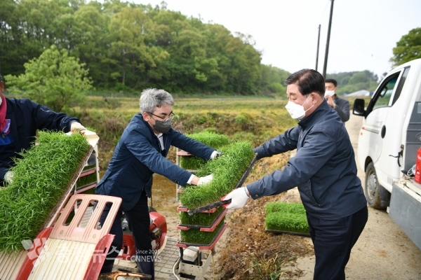 황선봉 군수가 모내기 할 모를 전달하는 모습