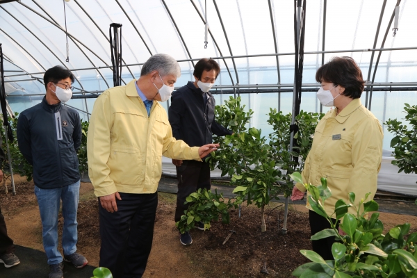감평 재배농가에 방문 중인 문정우 금산군수