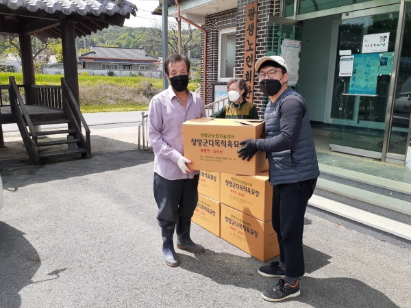 청양군, 우량 고추모종 100만 주 배송 모습