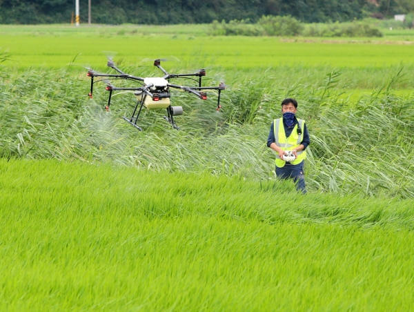 드론 항공 방제 모습