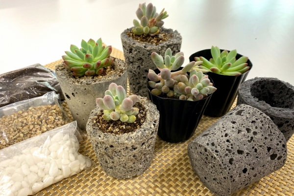 국립세종수목원이 운영하는 한 손 애 배움터 중 한 뼘 정원 프로그램 모습.