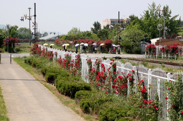 ‘황금의 도시, 장항! 향미미션여행’ 운영