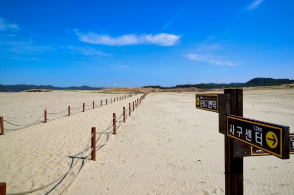 신두리 해안사구 모습.
