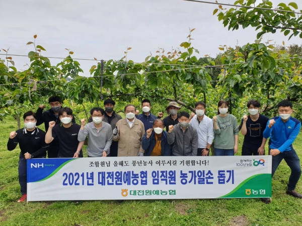 대전원예농협, 농번기 임직원 농가일손돕기 실시