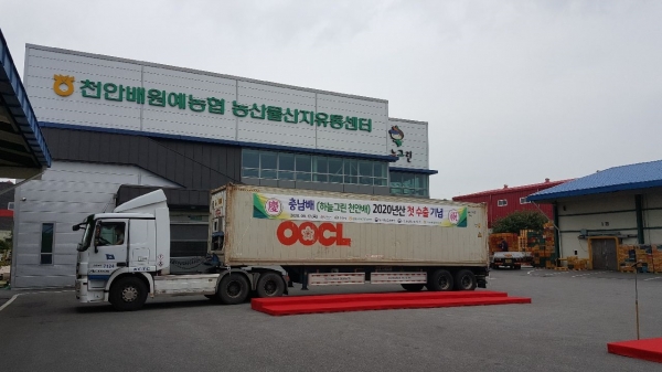 지난해 하늘그린 천안배 2020년산 첫 수출 기념식 모습