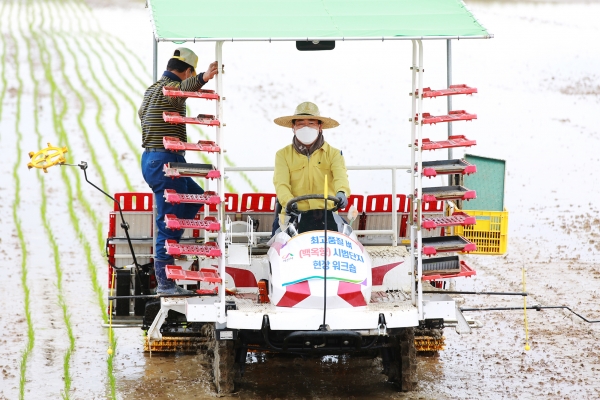 지난 17일 맹정호 서산시장이 부석면 강당리 일원에서 열린 최고품질 벼(백옥향) 이앙기 시연장면