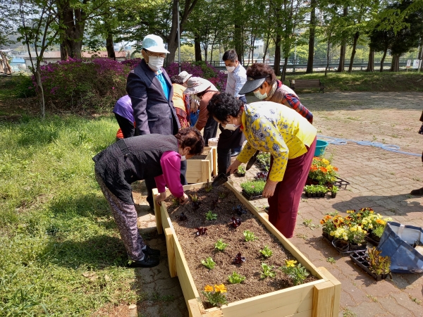 천안시농업기술센터가 ‘노년층 우울감 예방 원예활동프로그램’을 운영하고 있다.