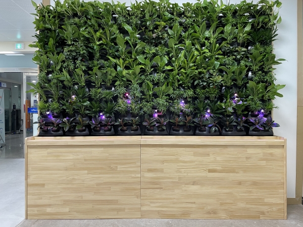 청양읍사무소에 공기정화용 스마트 가든볼 설치