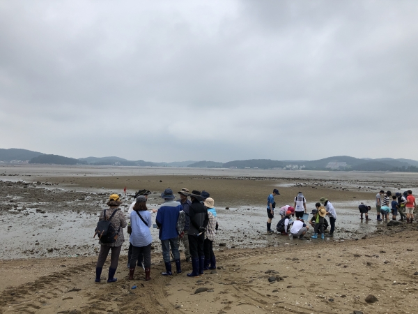 서천군 해양환경 체험프로그램 운영