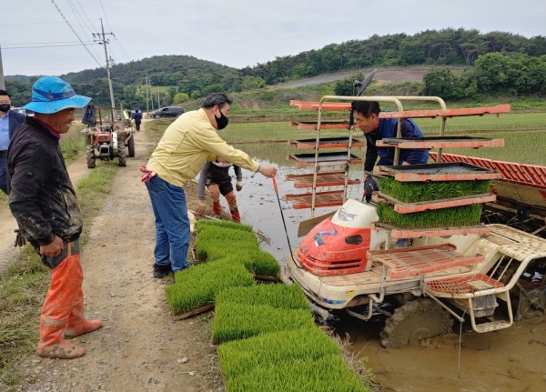 가세로 태안군수가 지난 23일 안면읍 중장리 모내기 현장을 찾아 농민들을 격려하고 농업인들의 애로사항을 청취하고 있다.