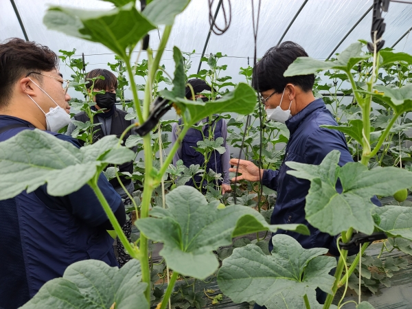 청양군  청년농업인 멘토링 컨설팅 교육 추진