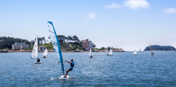 보령요트경기장 사진