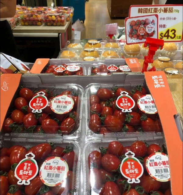 충남 청양지역 대표 농특산물인 토마토가 홍콩 수출길에 올라