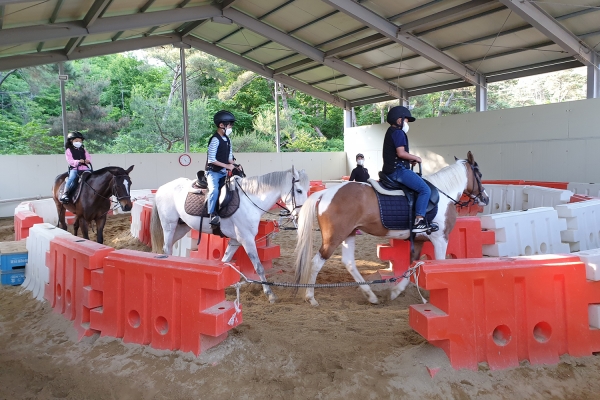 지난해 팔봉승마장에서 중고등학교 학생들이 승마강습하는 장면