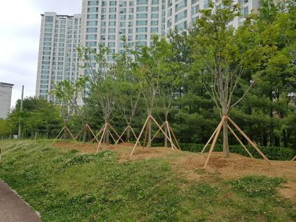 녹지대 시설물 보완사업 완료 모습