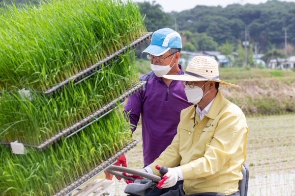 청양군, 뿌리 손상 없는 포트 육묘 모내기 시연