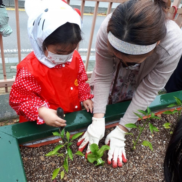 천안시 내 아파트에서 천안시농업기술센터에서 진행 중인 ‘아파트 도시농업 공동문화 프로그램’에 참여하고 있다.
