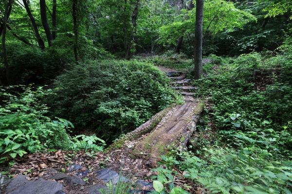 청천호 둘레길 모습