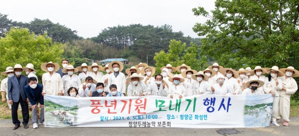 청양두레농악보존회 전통 손 모내기 행사 개최