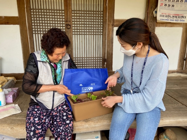 홀로 사는 어르신의 무기력함 극복 30가구를 대상으로 ‘무럭무럭 상추 키움’ 사업을 실시