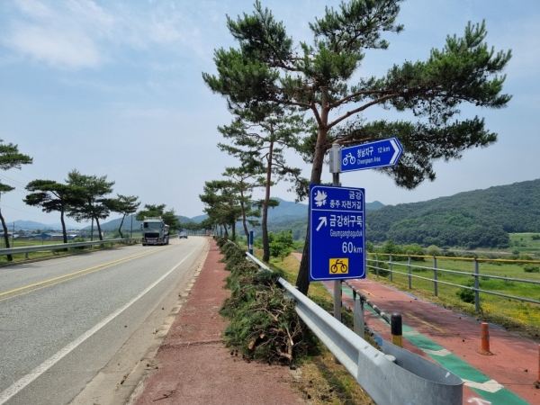 백제큰길 가로수 전정사진