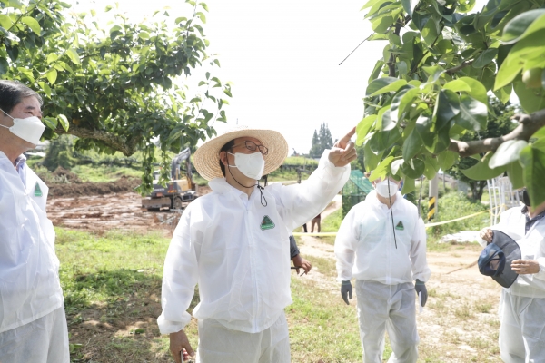박상돈 시장이 지난 12일 성환읍 성월리 공적방제 현장을 점검했다.