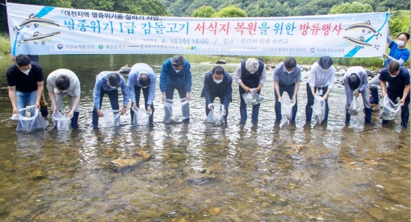 대전 유등천 상류 수련교에서 멸종위기종 1급이자 대전시 깃대종인 ‘감돌고기’ 1,500마리 방류 행사 진행
