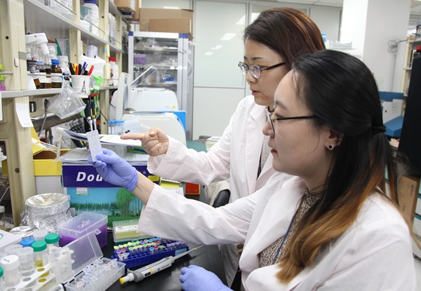 생명연 연구팀이 타미플루 내성 인플루엔자 바이러스에 대한 항체 매개 SERS 면역 분석법을 개발했다.