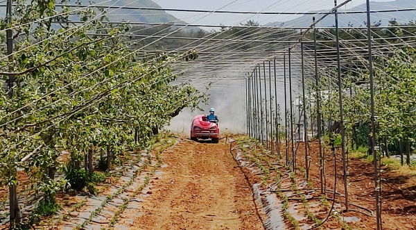 과수화상병 방제 모습