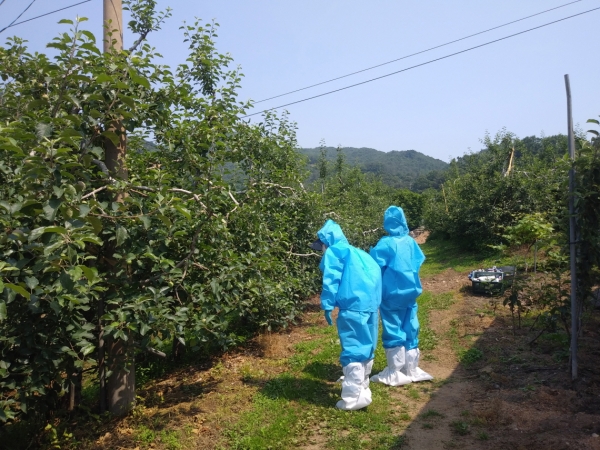 과수 화상병 의심신고 수시 예찰과 현장 진단 실시