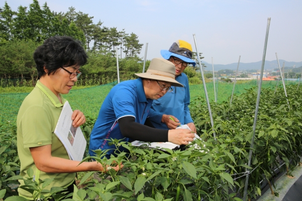 지난해 여름철 현장영농교육 모습.