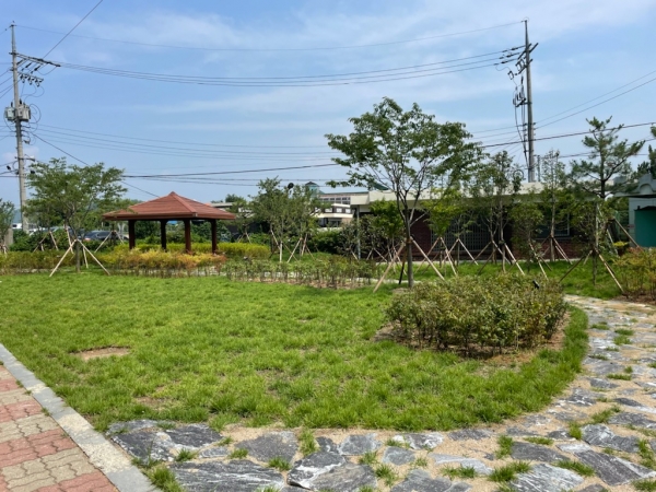 서천여자정보고등학교에 ‘학교 숲’ 조성