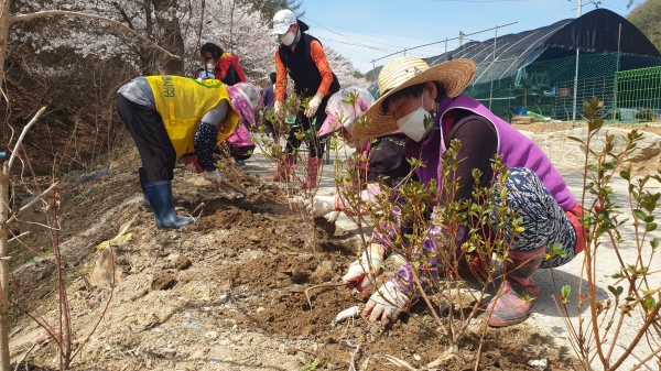 ‘모여라, 금산’ 시즌1 활동 모습