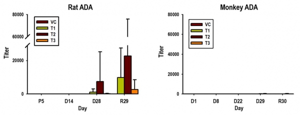 실험용 쥐와 원숭이의 항약물항체 분석결과