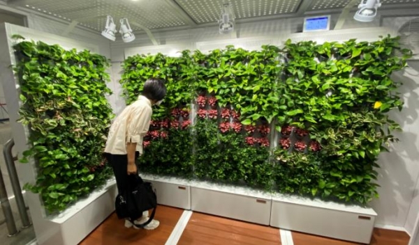 대전도시철도 1호선 대전역에 조성된 실내 정원 「스마트 가든」