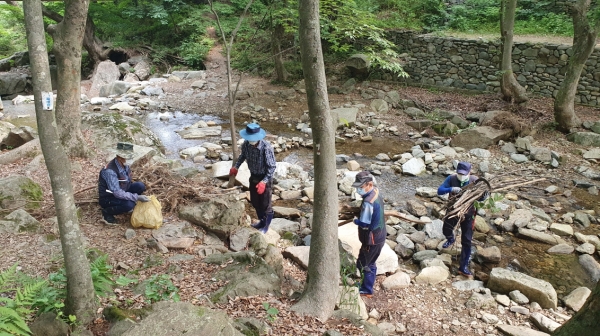 강당골 정비 사진