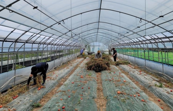 법무부 사회봉사명령 대상자 통해 일손돕기 지원 모습