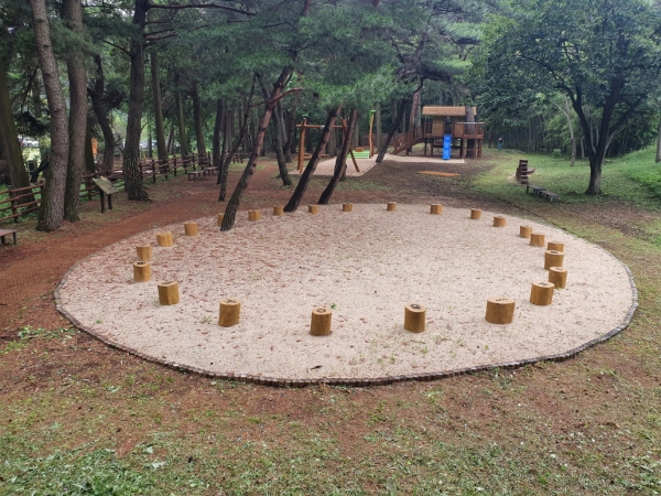 서천 치유의 숲 내에 어린이 체험 공간 조성 모습