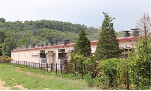 축사 안개분무시설 가동 사진