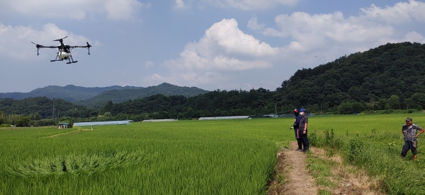 병해충 항공 방제로 적기 영농지원 모습