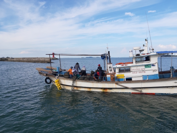 바지락 종패 방류 현장