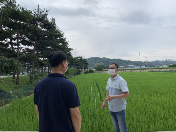 벼 병해충 방제 및 이삭거름 관련 지도 모습
