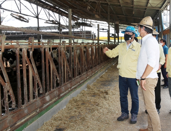 지난해 8월 소원면의 한 축사를 방문한 가세로 태안군수.