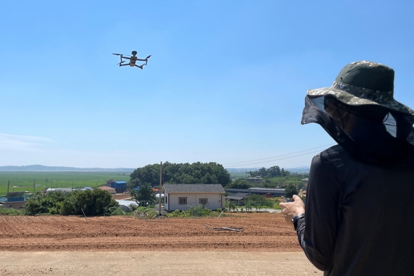 충남 서산시 부석면 대두리 일원 논밭에서 한 직원이 드론을 이용해 폭염 예찰활동을 하는 모습