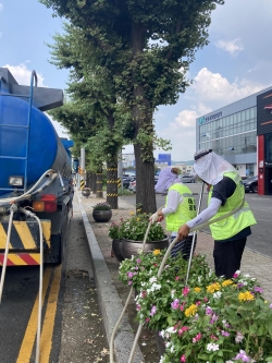 시내권 꽃 화분에 관수작업을 실시하고 있는 장면