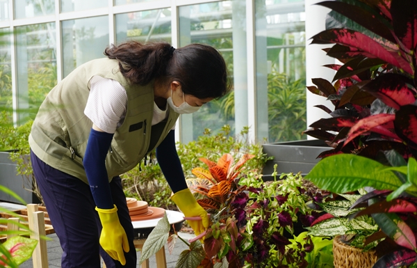 수목원정원분야 전문 실습과정